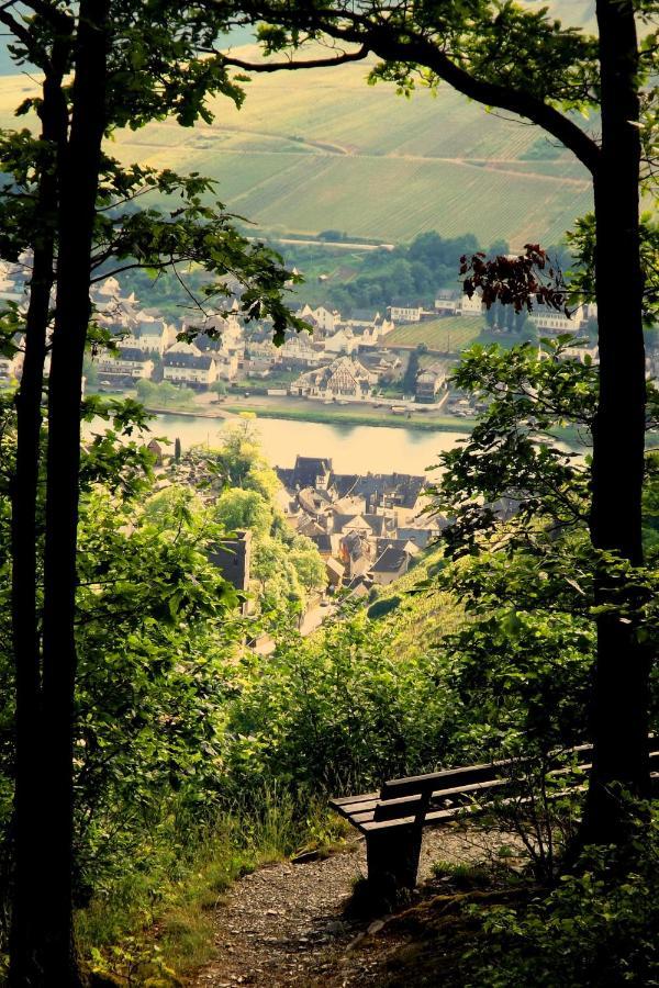 Mosel Panorama Leilighet Zell an der Mosel Eksteriør bilde