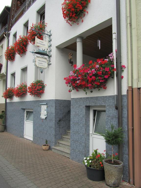 Mosel Panorama Leilighet Zell an der Mosel Eksteriør bilde
