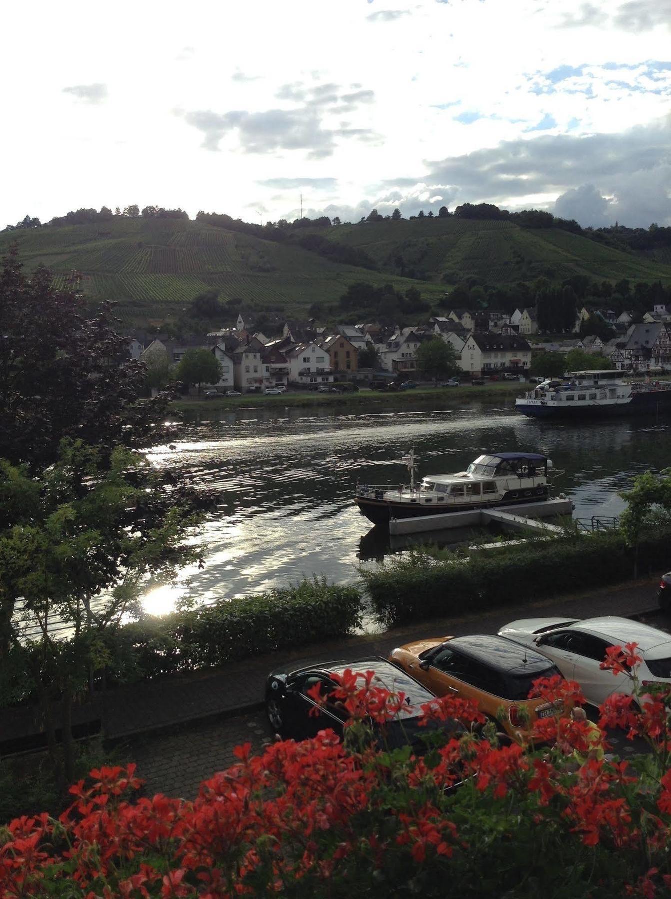 Mosel Panorama Leilighet Zell an der Mosel Eksteriør bilde