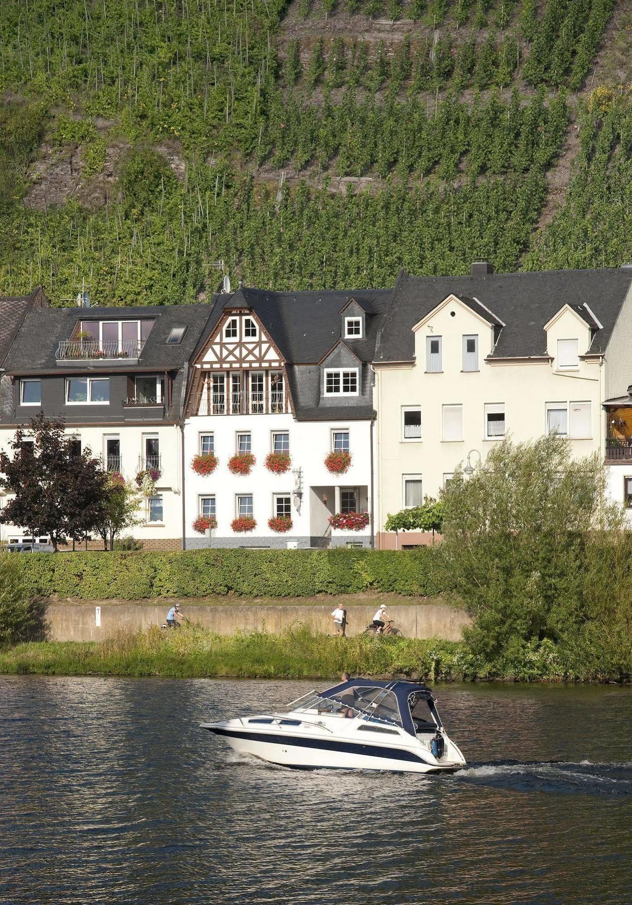 Mosel Panorama Leilighet Zell an der Mosel Eksteriør bilde