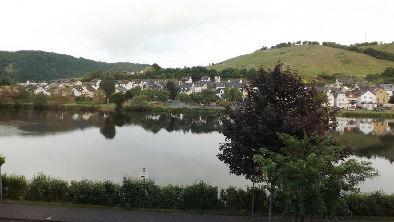Mosel Panorama Leilighet Zell an der Mosel Eksteriør bilde