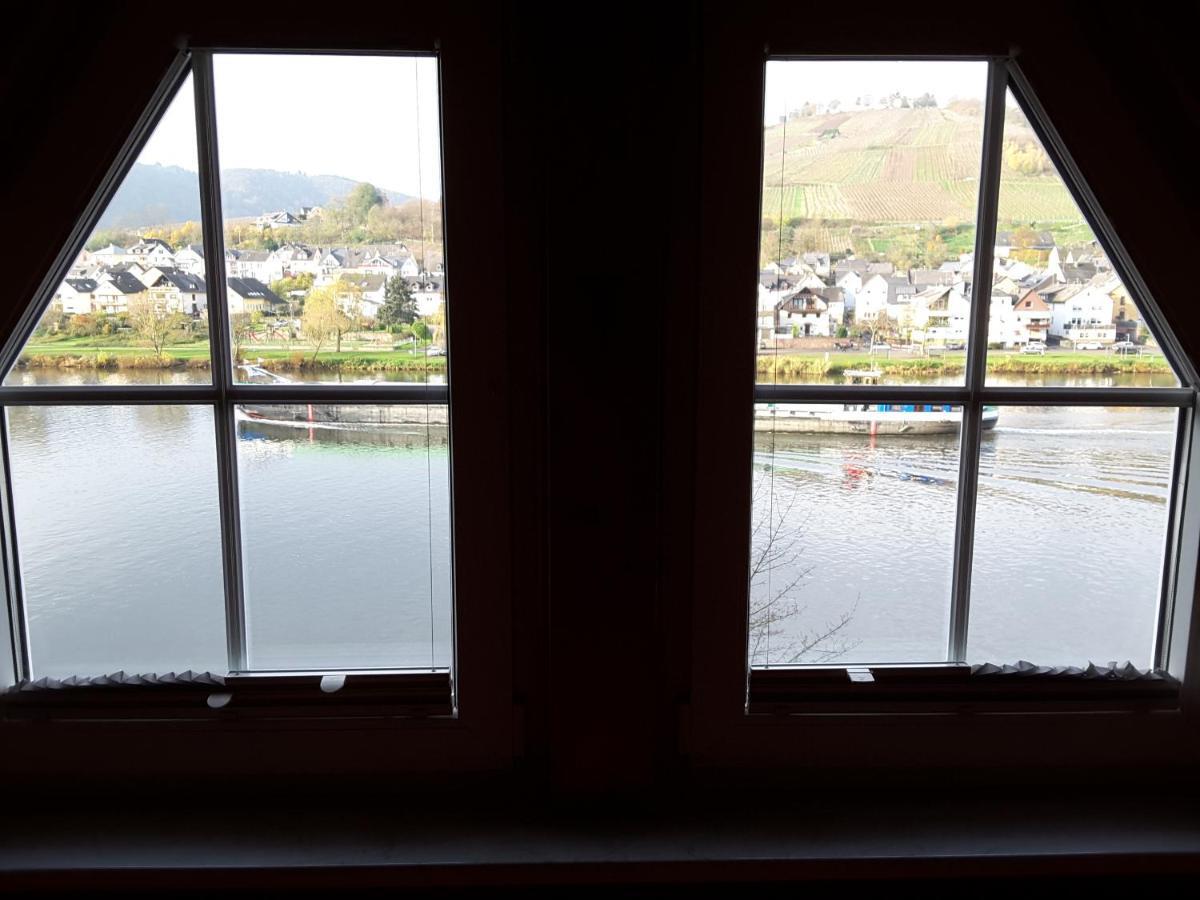 Mosel Panorama Leilighet Zell an der Mosel Eksteriør bilde